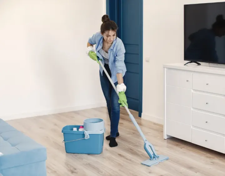 Femme de ménage Camboulit